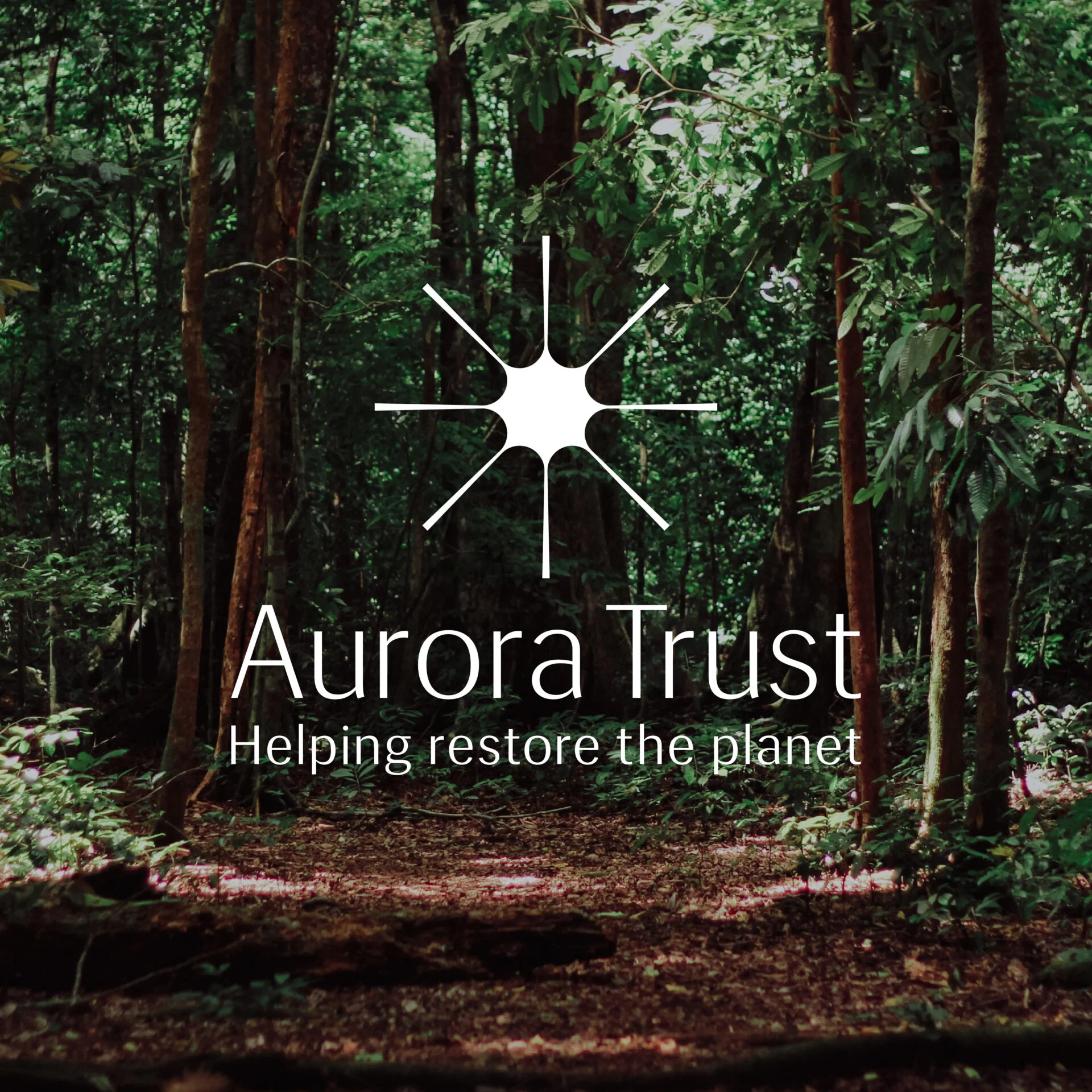 The Aurora Trust